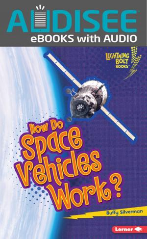 Cover of the book How Do Space Vehicles Work? by Nadia Higgins