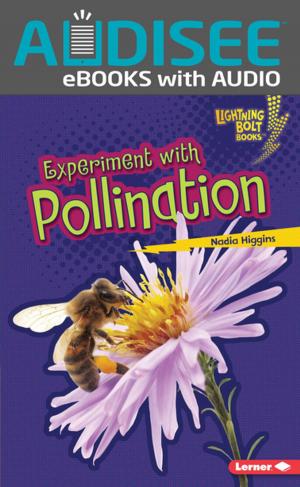 Cover of the book Experiment with Pollination by Henrik Rehr