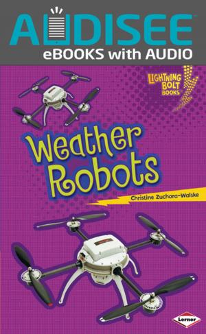 Cover of the book Weather Robots by Gina Bellisario
