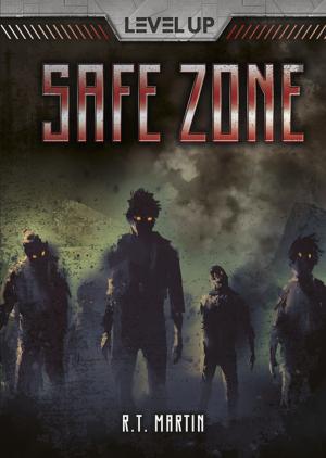 Cover of the book Safe Zone by Buffy Silverman
