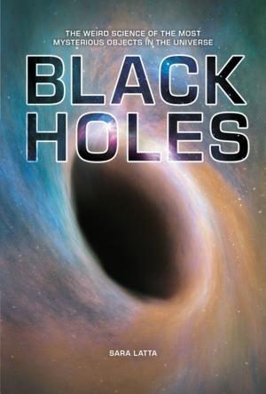 Cover of the book Black Holes by Lyn Larson