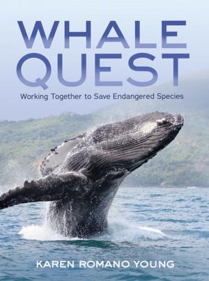 Book cover of Whale Quest