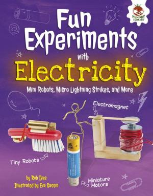 Cover of the book Fun Experiments with Electricity by Justine Fontes