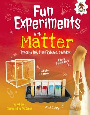 Cover of the book Fun Experiments with Matter by Kerry Dinmont
