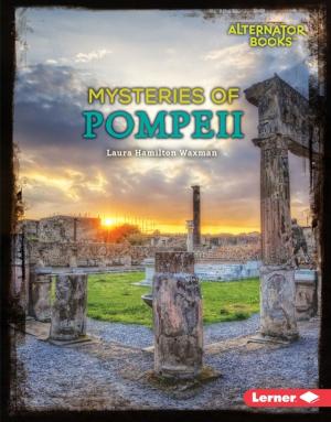 Book cover of Mysteries of Pompeii