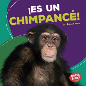 Book cover of ¡Es un chimpancé! (It's a Chimpanzee!)