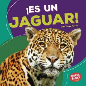 Cover of the book ¡Es un jaguar! (It's a Jaguar!) by Brian P. Cleary