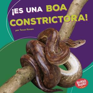 Book cover of ¡Es una boa constrictora! (It's a Boa Constrictor!)