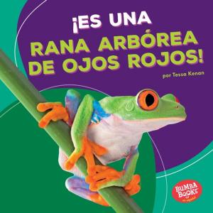 Cover of the book ¡Es una rana arbórea de ojos rojos! (It's a Red-Eyed Tree Frog!) by Flora Grimaldi