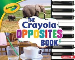 Cover of the book The Crayola ® Opposites Book by Jacqueline Jules