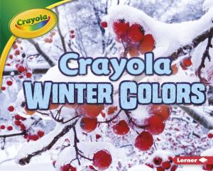Cover of the book Crayola ® Winter Colors by Raelyn Drake