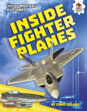 Cover of the book Inside Fighter Planes by Tessa Kenan