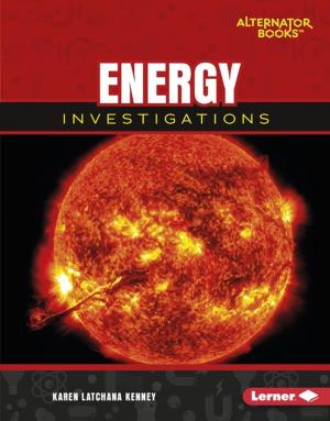 Cover of the book Energy Investigations by Robert Raczka