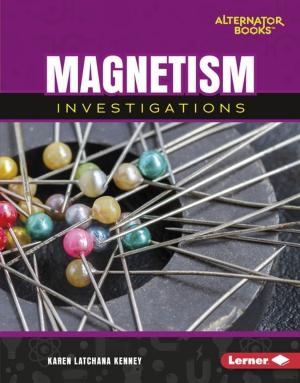Cover of the book Magnetism Investigations by Anne Fine, Mary Hooper, Sophie McKenzie, Patrick Ness, Bali Rai, Jenny Valentine, Keith Gray, Editor, Andrew Smith, A. S. King, Melvin Burgess