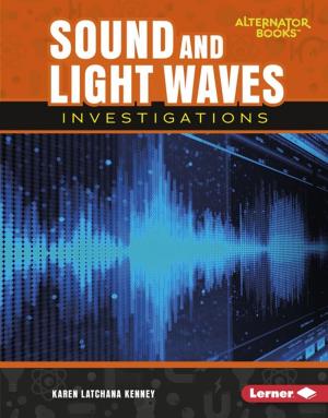 Cover of the book Sound and Light Waves Investigations by JB Concepts Media