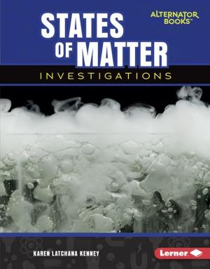 Cover of the book States of Matter Investigations by Rebecca E. Hirsch