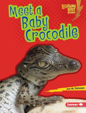 Cover of the book Meet a Baby Crocodile by Matthew Rake
