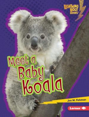 Cover of the book Meet a Baby Koala by Jon M. Fishman