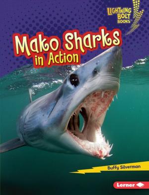 Cover of the book Mako Sharks in Action by Martha E. H. Rustad