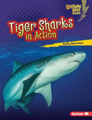 Cover of the book Tiger Sharks in Action by Lorraine Roscoe, Dennis Denenberg