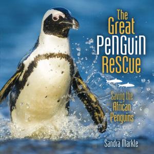 Cover of the book The Great Penguin Rescue by Paul Mason