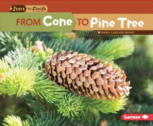 Book cover of From Cone to Pine Tree