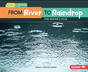 Cover of the book From River to Raindrop by Kristin Marciniak