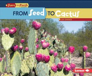 bigCover of the book From Seed to Cactus by 