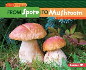 Cover of the book From Spore to Mushroom by Anne J. Spaight