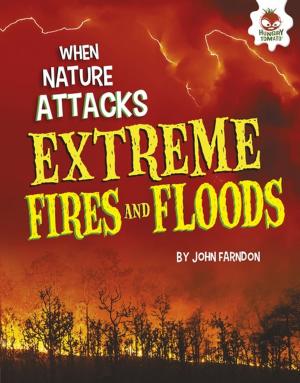 Cover of the book Extreme Fires and Floods by Rebecca Rissman