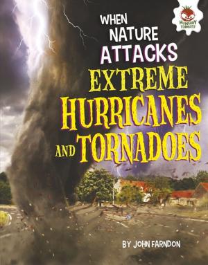 Cover of the book Extreme Hurricanes and Tornadoes by Nadia Higgins