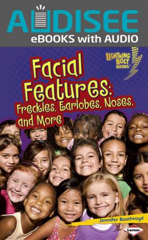 Cover of the book Facial Features by Gina Bellisario