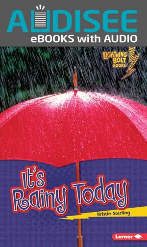 Cover of the book It's Rainy Today by Mari Schuh