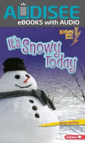 Cover of the book It's Snowy Today by Jane Sutton