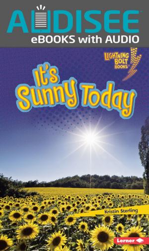 Cover of the book It's Sunny Today by Roseann Feldmann, Sally M. Walker