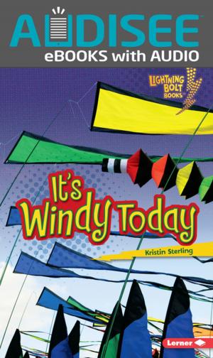 Cover of the book It's Windy Today by David Zeltser