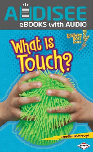 Cover of the book What Is Touch? by Amy Meltzer