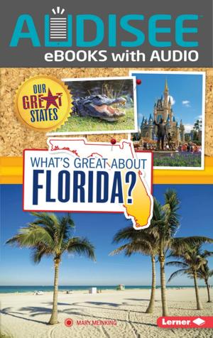 Cover of the book What's Great about Florida? by Jon M. Fishman