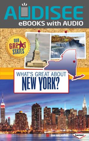 Cover of the book What's Great about New York? by Tessa Kenan