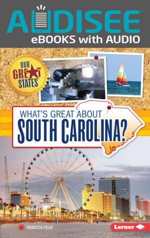 Cover of the book What's Great about South Carolina? by Pamela Mayer