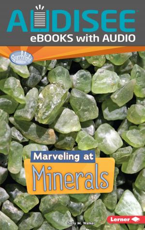 Cover of the book Marveling at Minerals by Matt Doeden