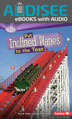 Cover of the book Put Inclined Planes to the Test by Rebecca L. Johnson