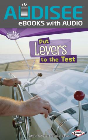 Cover of the book Put Levers to the Test by Gabriel Goodman