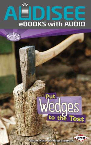 Cover of the book Put Wedges to the Test by Madeline Wikler, Judyth Groner