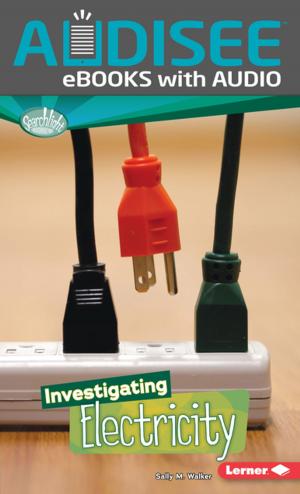 Cover of Investigating Electricity