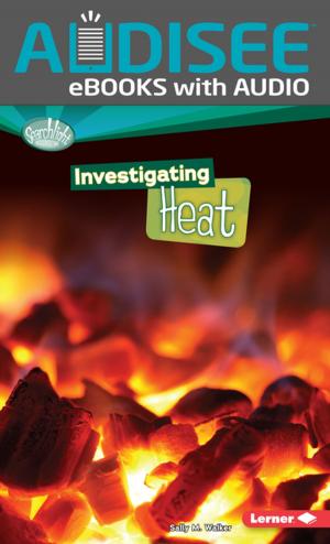 bigCover of the book Investigating Heat by 