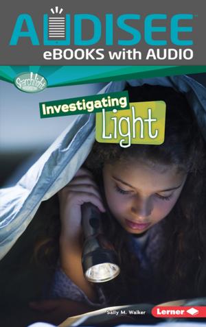 Cover of the book Investigating Light by Kiersi Burkhart, Amber J. Keyser