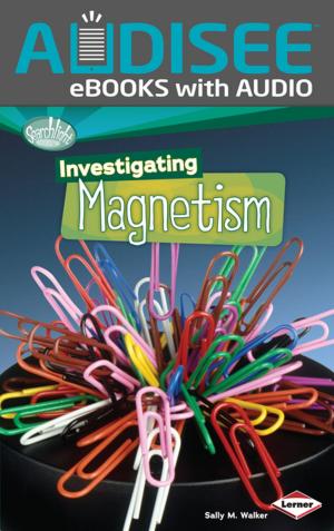 Cover of the book Investigating Magnetism by Lisa Wheeler