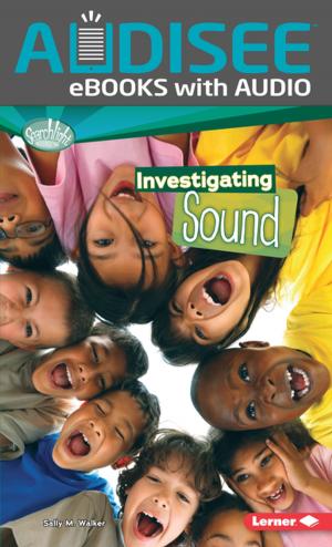 Cover of the book Investigating Sound by Kiersi Burkhart, Amber J. Keyser