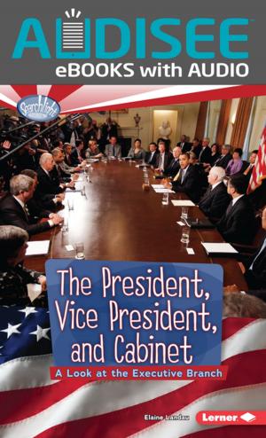 Cover of the book The President, Vice President, and Cabinet by Bill Sommer, Natalie Haney Tilghman